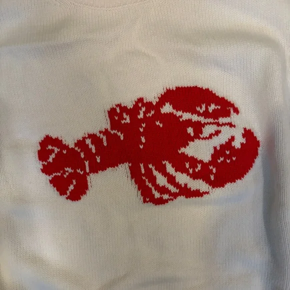 Abercrombie & Fitch Madeline Lobster Crew Sweater - Picture 2 of 4